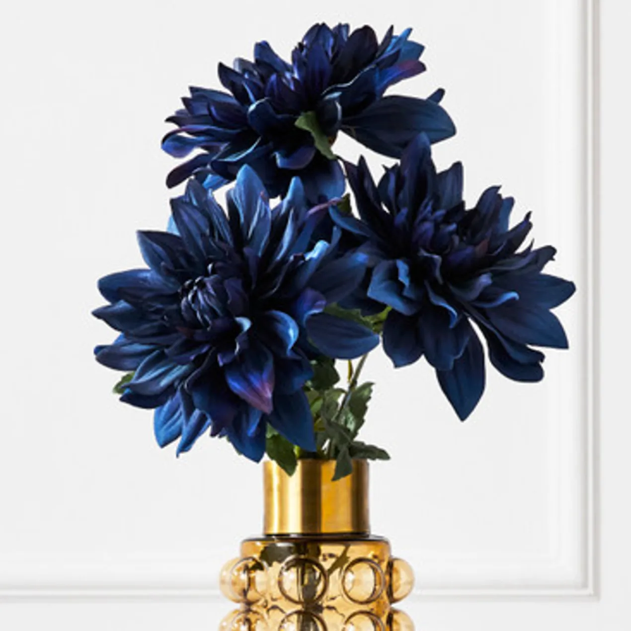 Blue Open Dahlia - Set of 3