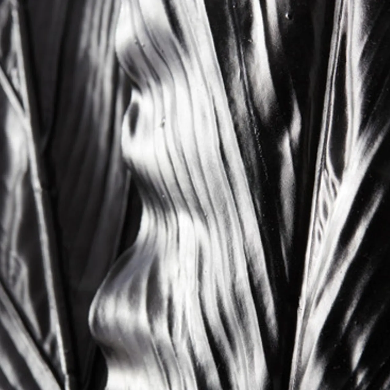 Canna Leaf - Set of 3