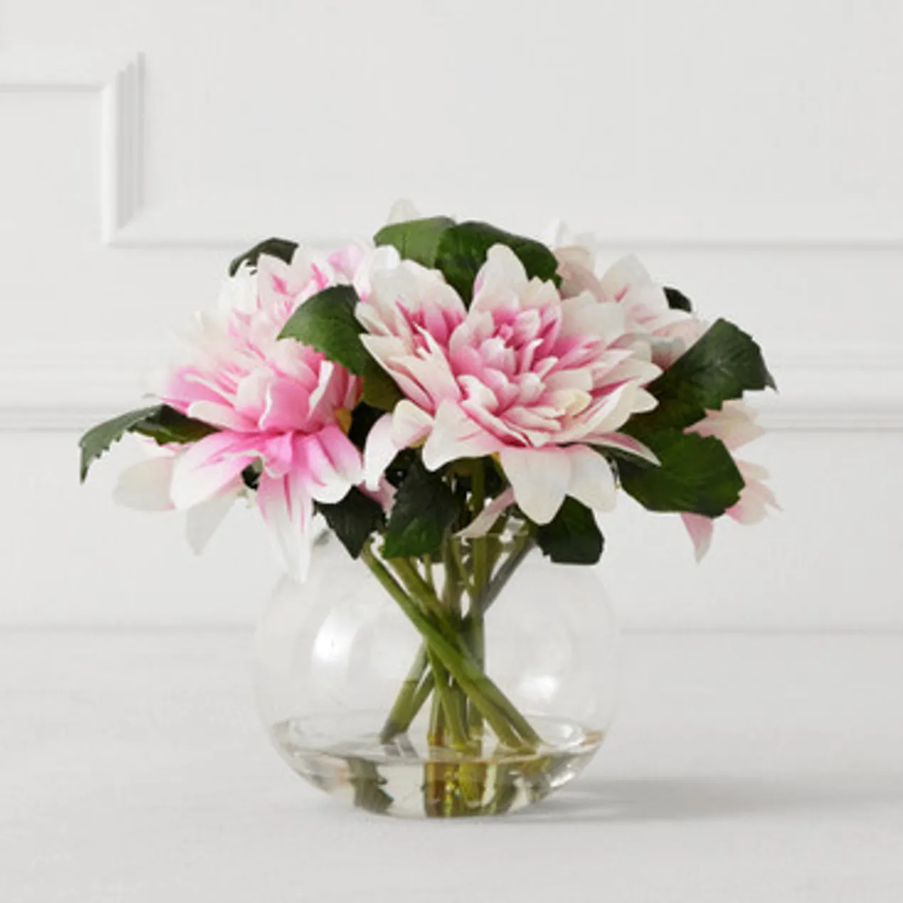Dahlia In Glass - Blush
