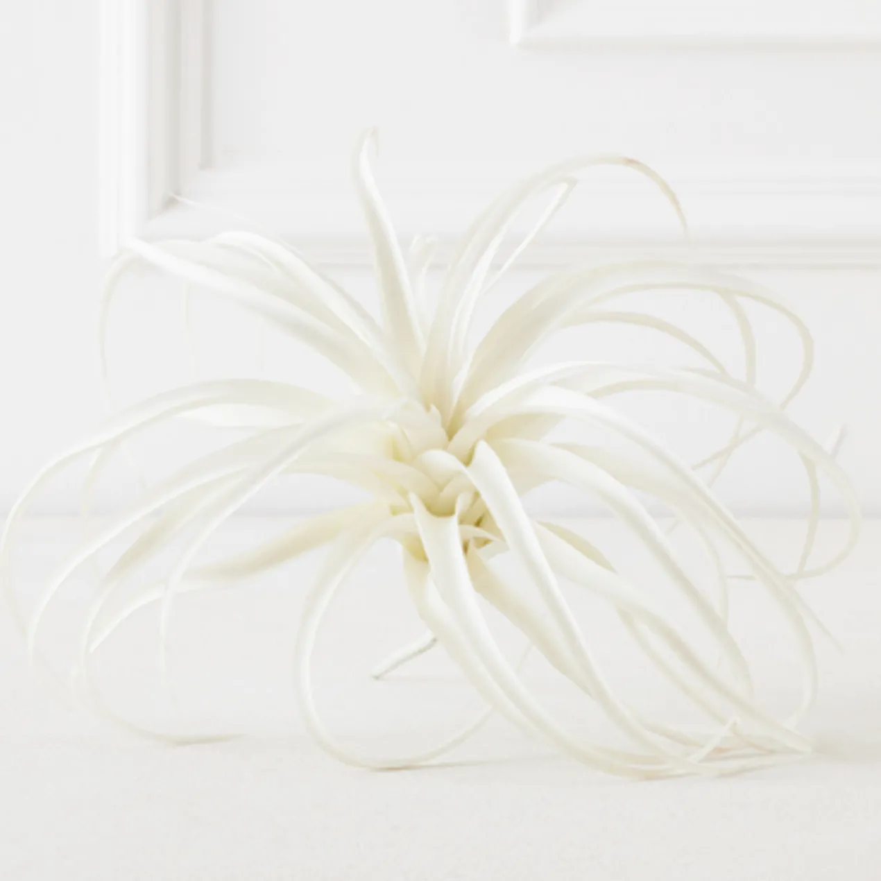 Faux Air Plant - Set of 3