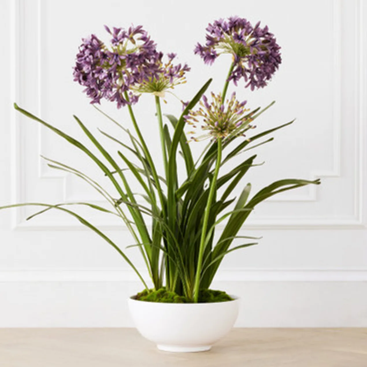 Faux Potted Agapanthus