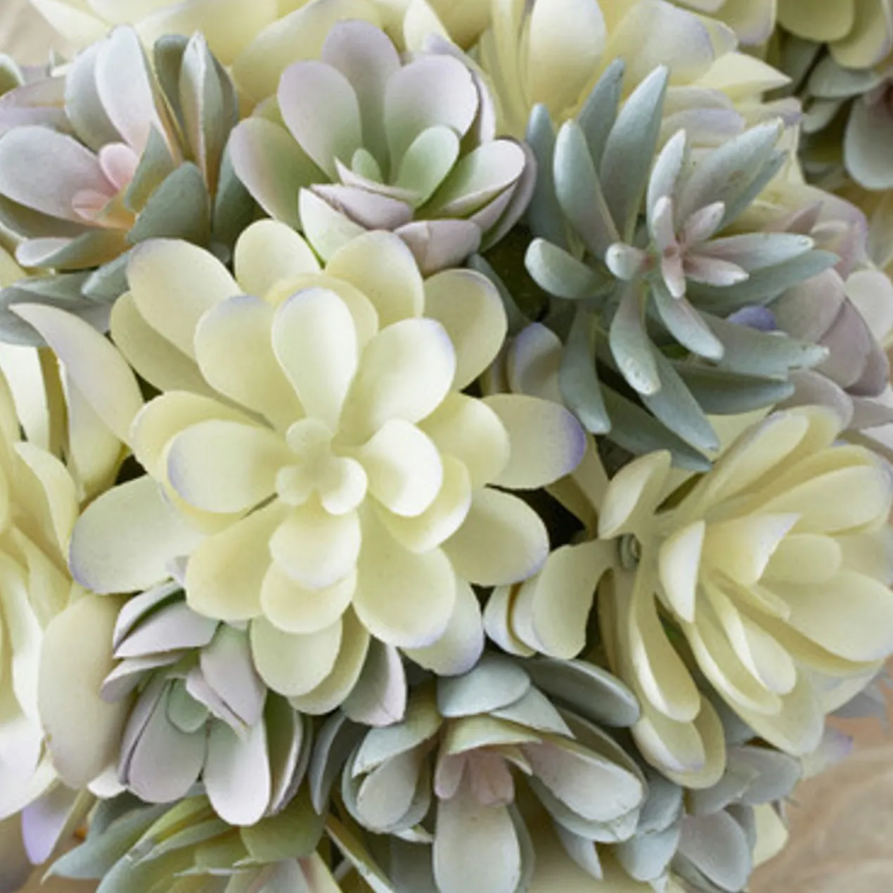 Faux Succulent Sphere