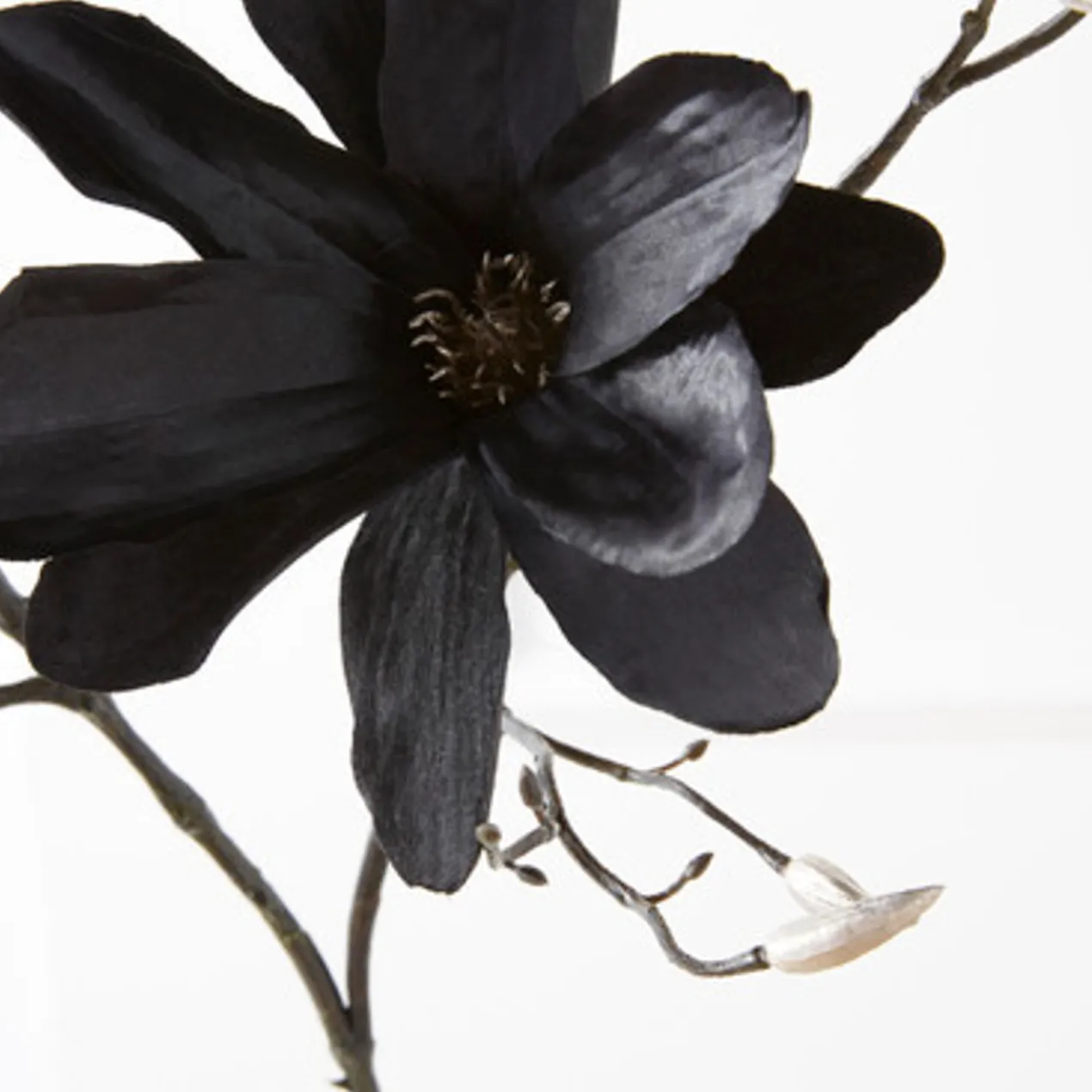 Magnolia Spray - Set of 3