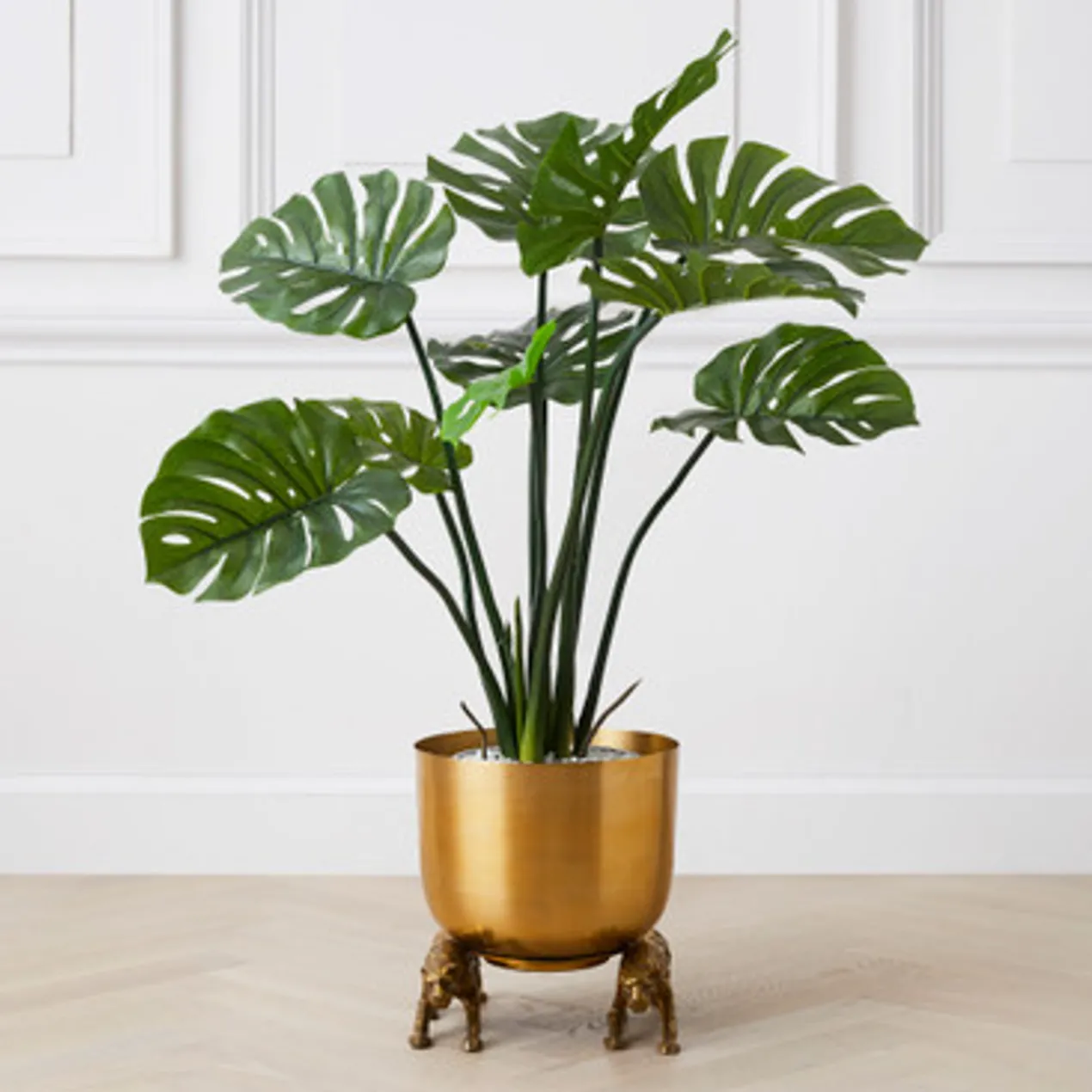 Nikki Chu - Jaguar Planter