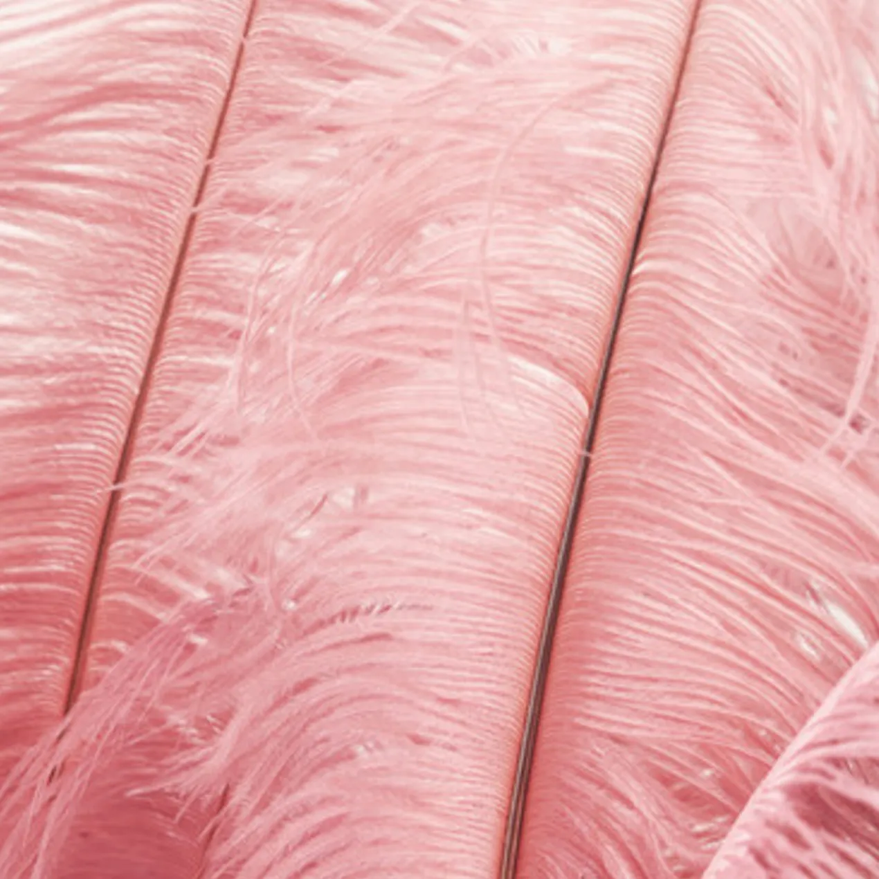 Ostrich Spray - Set of 3