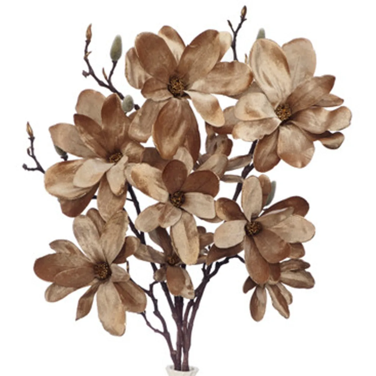 Velvet Magnolia - Set of 3