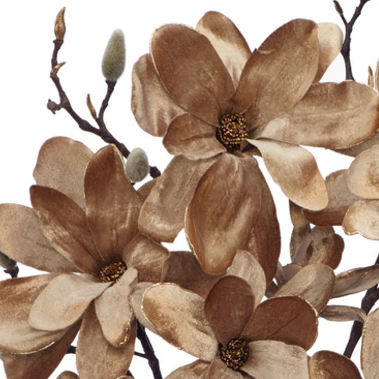 Velvet Magnolia - Set of 3