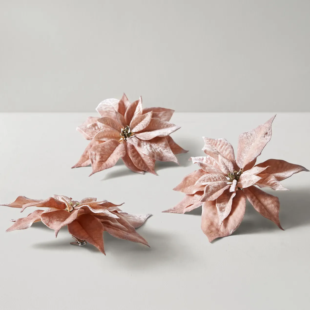 Velvet Poinsettia Clip - Blush - Set of 3